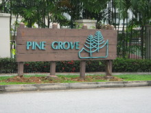Pine Grove #995512